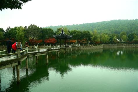 Wangshan Park - Ett berg med hisnande utsikt och en mysig bambuskog!