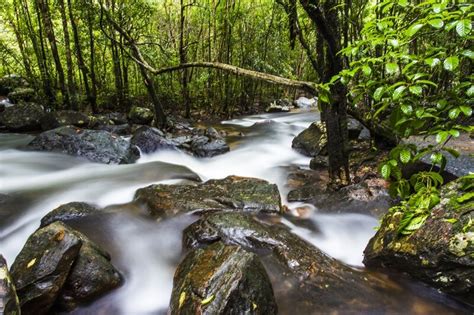 Phu Quoc National Park: En Mystisk Djungel Fylld med Vattenfall och Exotiska Djur!